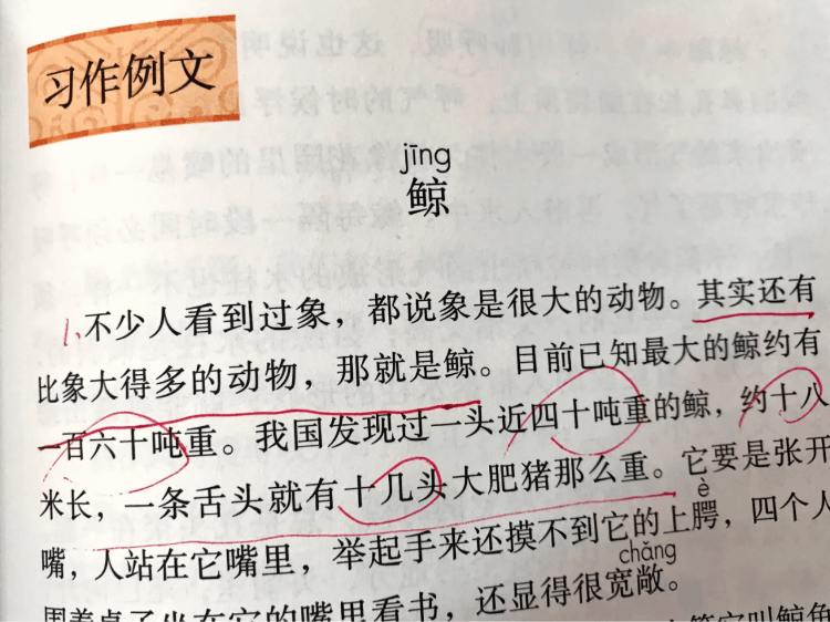 打比方和举例子的区别(作比较、举例子、打比方的区别是什么)