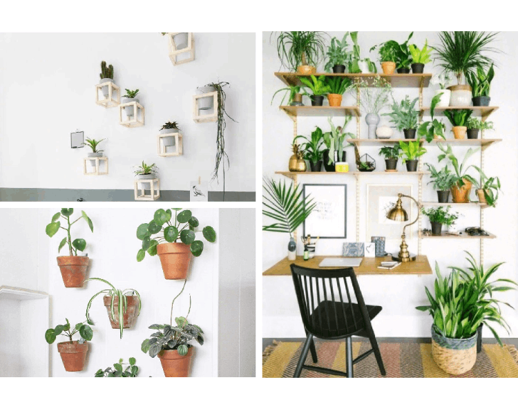 家里解暑的方法