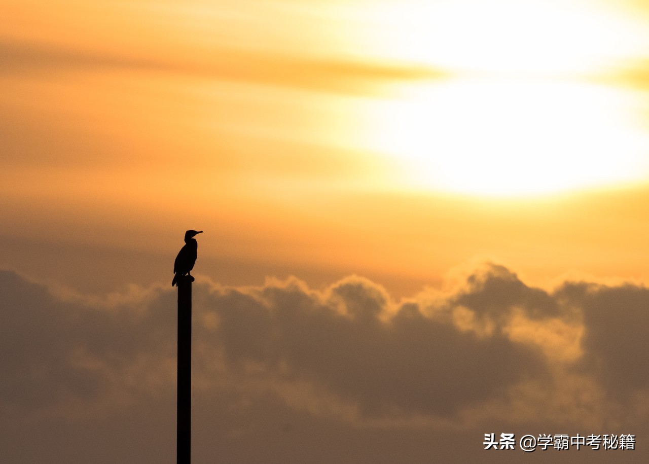 如何写雾霾作文(雾霾作文)