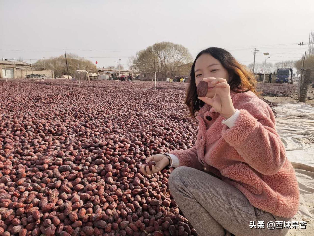 新疆灰枣的功效与作用