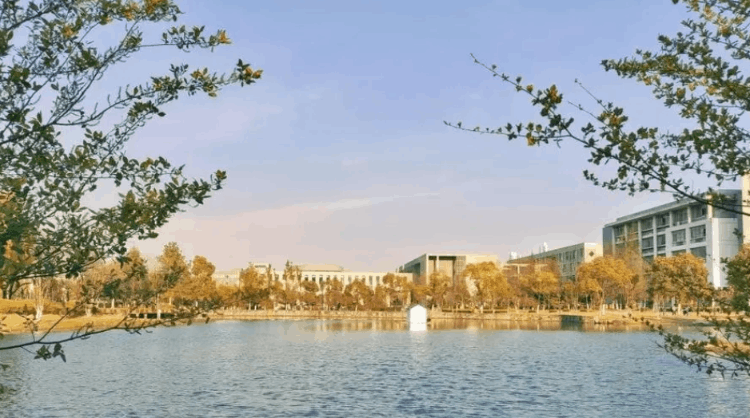 江苏一本大学排名(安徽一本大学排名)