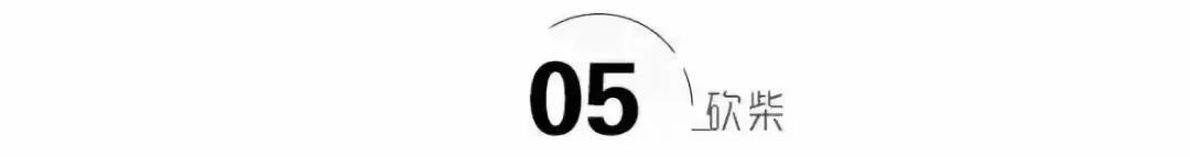 世界十大科学家之首