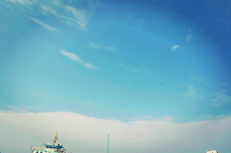 千万别学汉语言文学专业(汉语言文学好找工作吗)