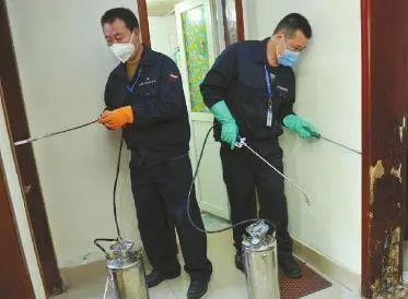 白蚁防治方法(5 跪求杀死白蚁的方法、可以抑制白蚁继续吃树的办法也行)