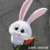 少女的世界在线观看218，少女的世界电影简介