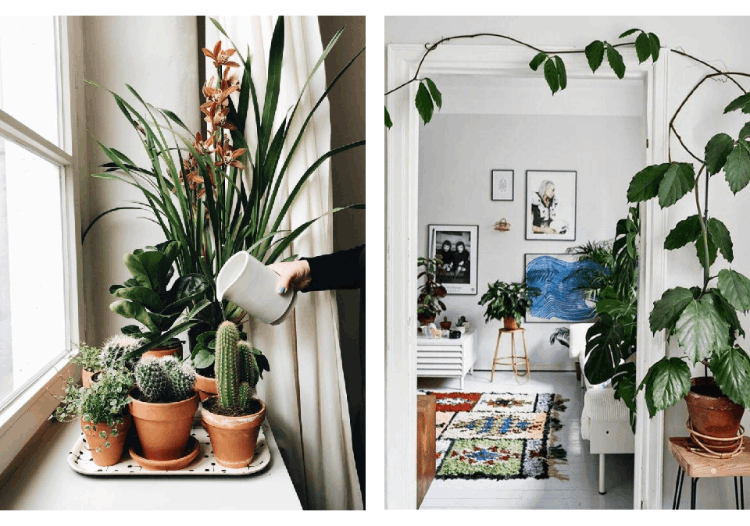 家里解暑的方法