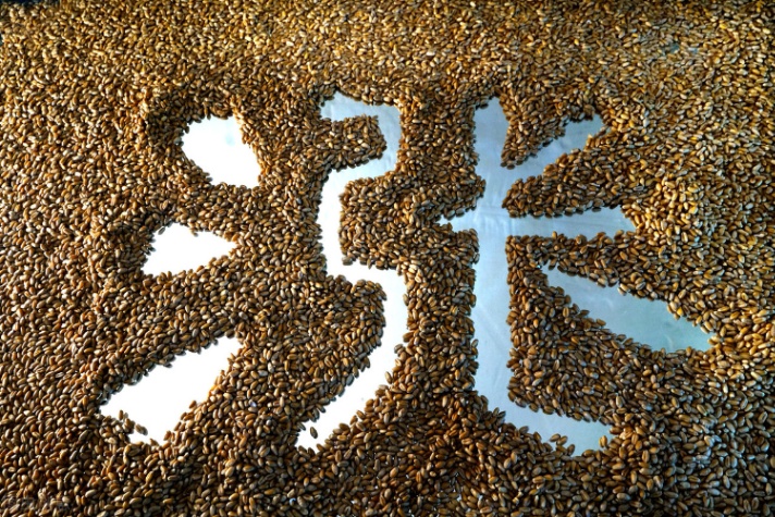 小麦价格走势(行情翻脸如翻书！小麦从暴涨到暴跌只用半天！咋回事？还能涨吗)