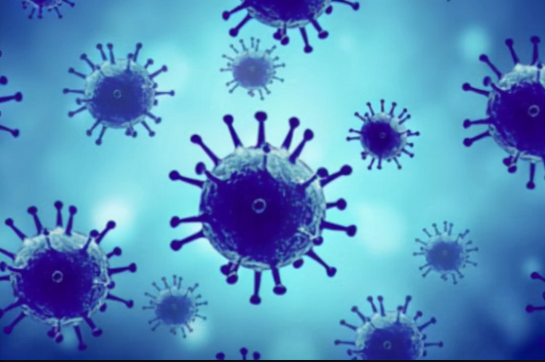 世界十大病毒排行榜