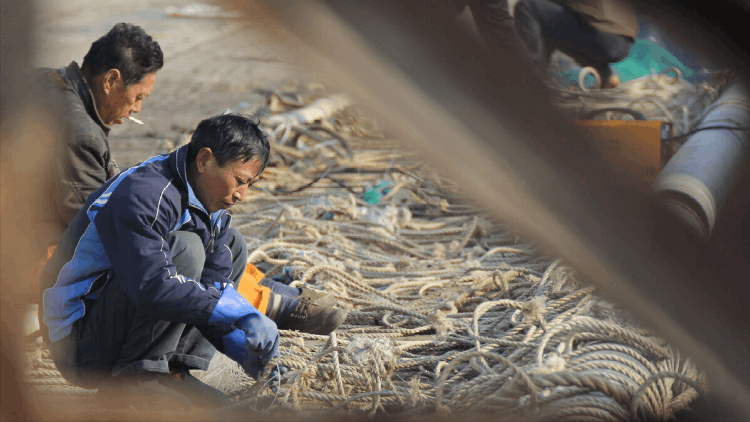 中国南极海上捕鱼船年捕鱼虾量2.6万吨,能赚2亿 中国南极海上捕鱼船年捕鱼虾量2.6万吨,能赚2亿