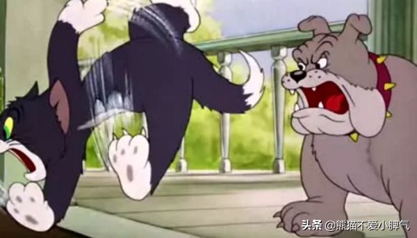 猫和老鼠的老鼠叫什么名字？其实每个角色都有名字