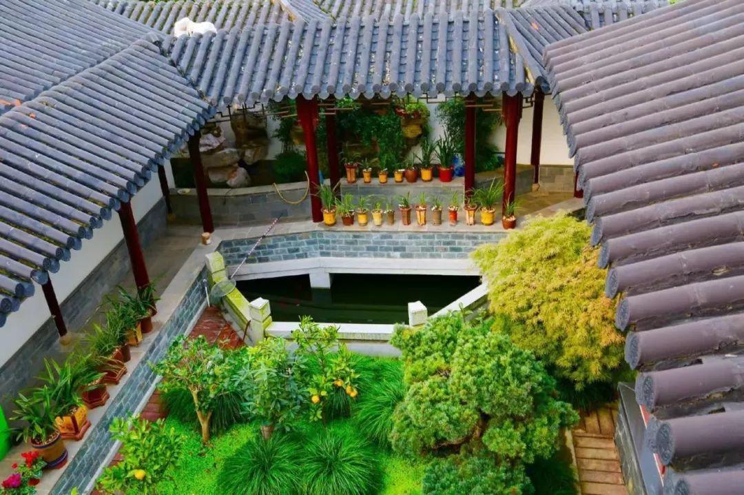 蜂鸟鹰蛾如何养才长得好