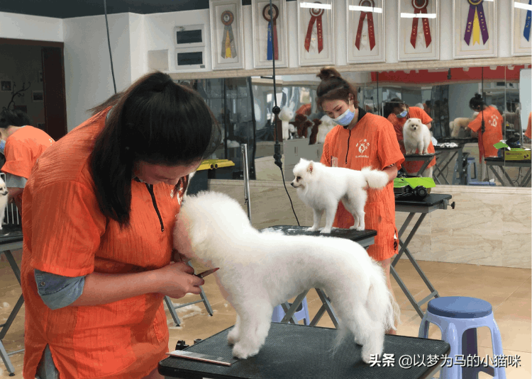 女生学什么技术好(适合女生学的技术而且挣钱)