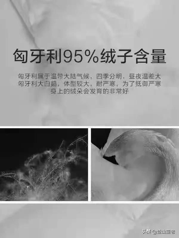 蚕丝被怎么洗涤和保养方法（蚕丝被的缺点是什么？）