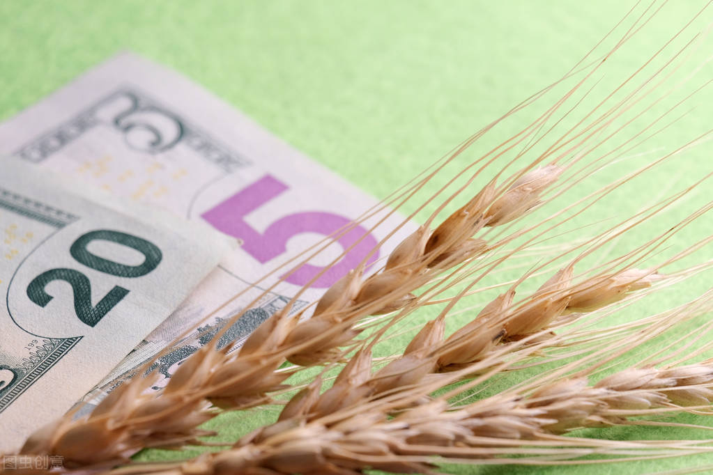 小麦价格走势(行情翻脸如翻书!小麦从暴涨到暴跌只用半天!咋回事?还能涨吗) 小麦价格走势(行情翻脸如翻书!小麦从暴涨到暴跌只用半天!咋回事?还能涨吗)