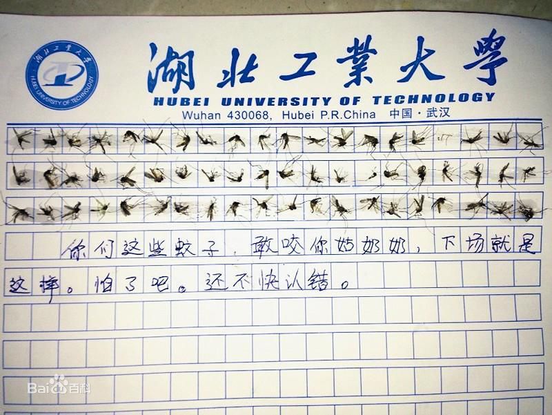 60只蚊子写作文(60只蚊子写作文500字)