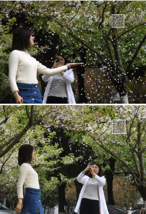 武汉大学历任校花(武汉大学十大校花排行) 武汉大学历任校花(武汉大学十大校花排行)