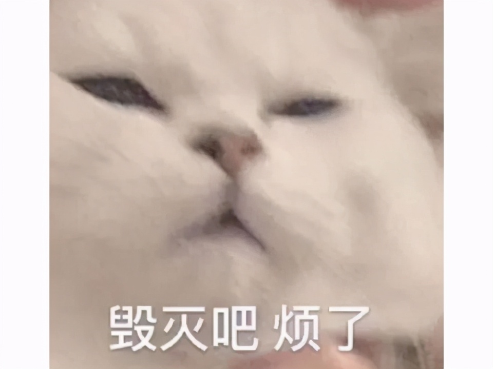 下周的天空迷宫基本上是福利;神秘宝箱送锤妹妹基本上是必须的!本周灰矮人的祝福可以帮助玩家赢得荣耀挑战450根羽毛。 下周的天空迷宫基本上是福利;神秘宝箱送锤妹妹基本上是必须的!本周灰矮人的祝福可以帮助玩家赢得荣耀挑战450根羽毛。