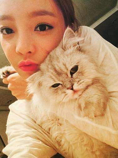 世界上最贵的猫前十名