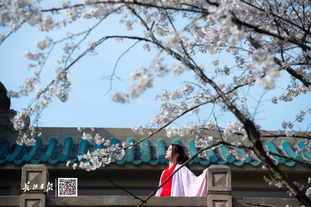 武汉大学历任校花(武汉大学十大校花排行) 武汉大学历任校花(武汉大学十大校花排行)
