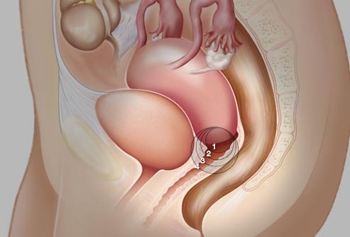 阴美白有好处吗(私处真的能美白紧致)