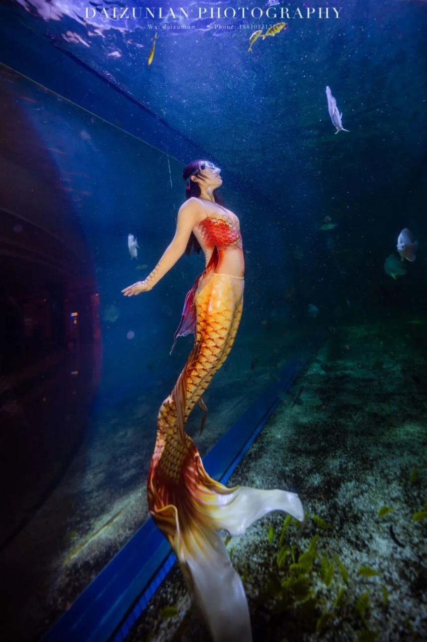 人类变美人鱼方法（美人鱼潜水员）