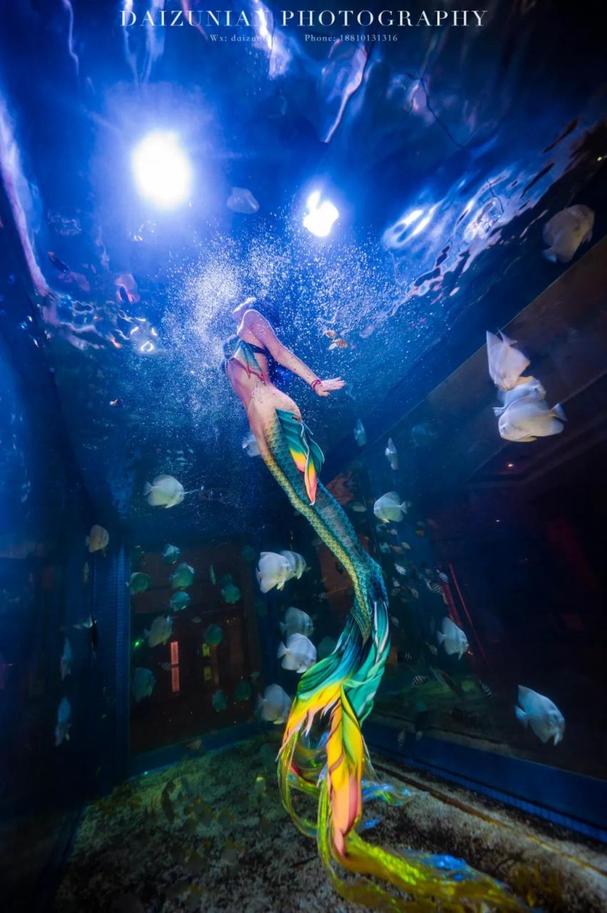 人类变美人鱼方法（美人鱼潜水员）