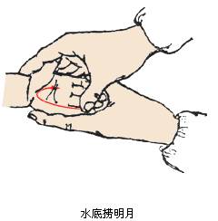 小儿高烧39度推拿手法图解（小儿高热退烧推拿手法）