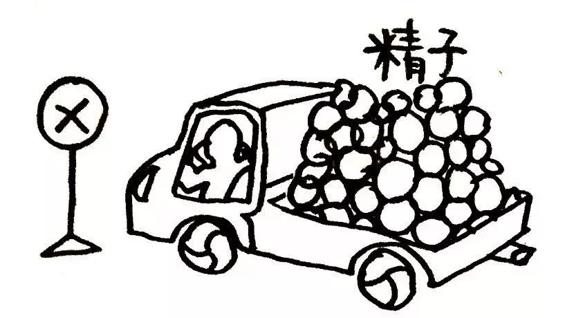 姑娘给男人结扎(女医生主刀做男人结扎例子)