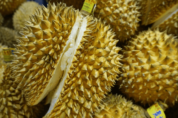 榴莲怎么挑(教你6招，挑出来的榴莲皮又薄又甜)