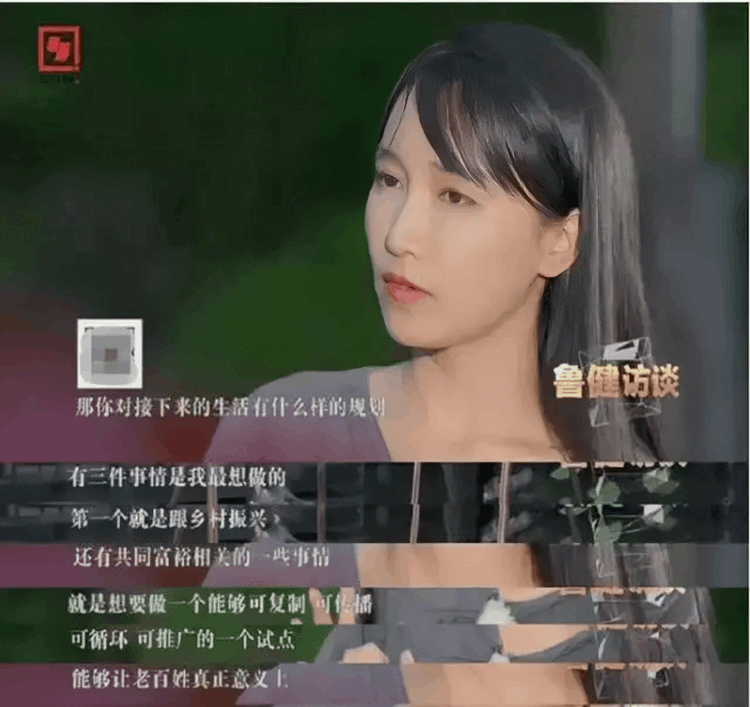 李子柒事件是怎么回事（李子柒和微念的纠纷）