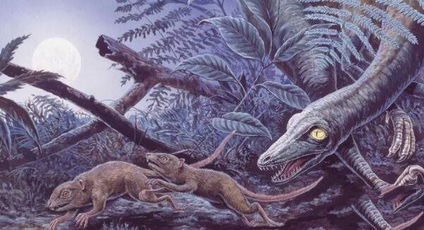 最厉害的恐龙是什么龙(十大恐龙之王名称)