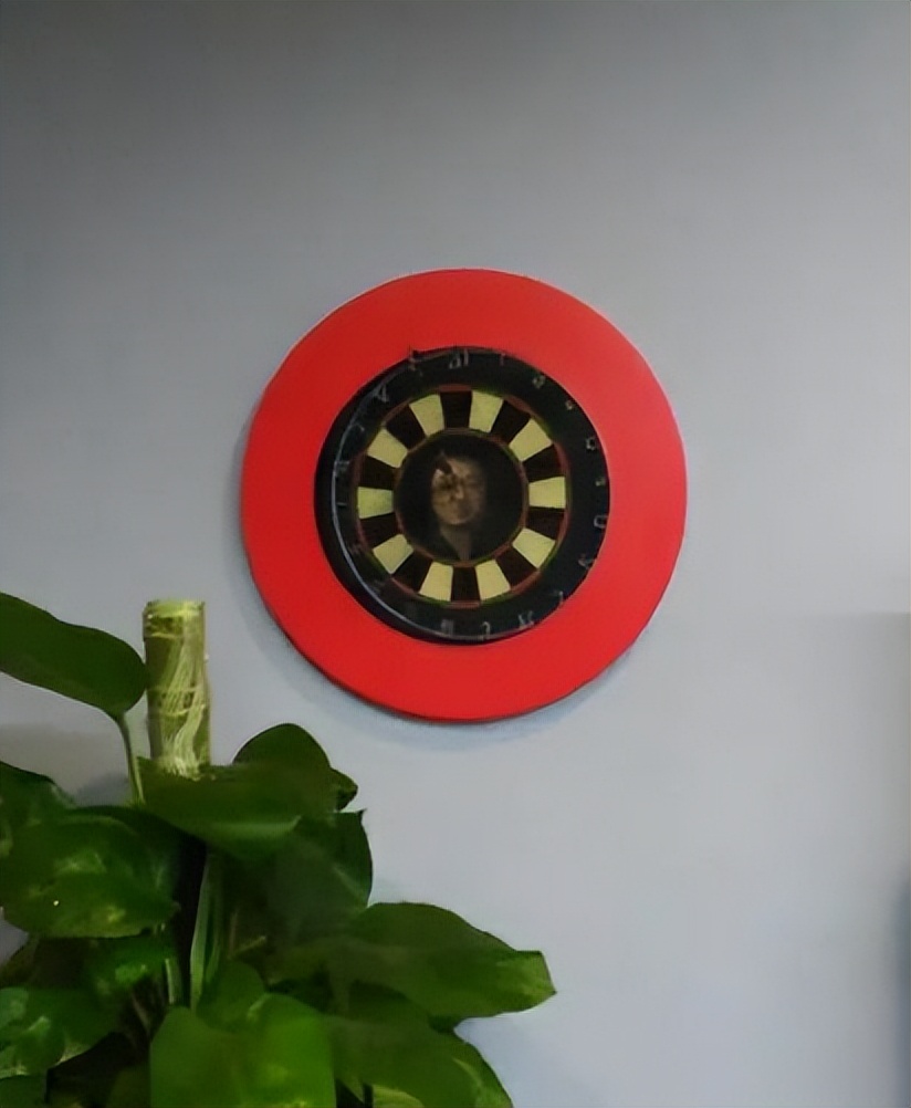 罗永浩怎么欠的6个亿(罗永浩为什么欠了那么多钱) 罗永浩怎么欠的6个亿(罗永浩为什么欠了那么多钱)