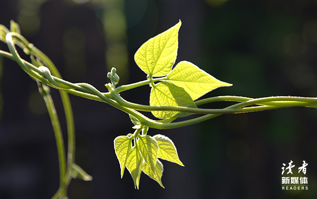 暖心超短的经典句子(暖心超短 暖心超短的经典句子(暖心超短