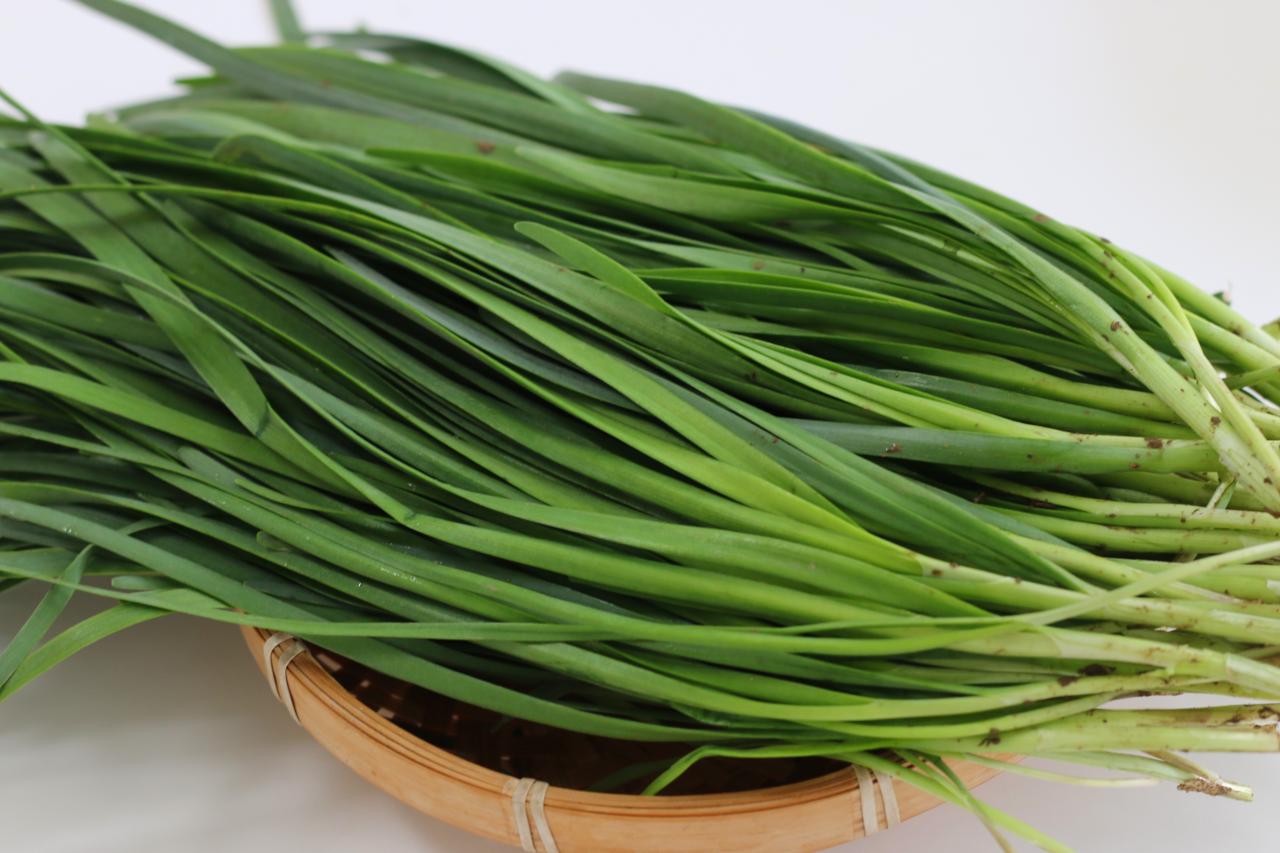 韭菜鸡蛋馅包子需要蒸几分钟(韭菜包子冷水上锅蒸多久)