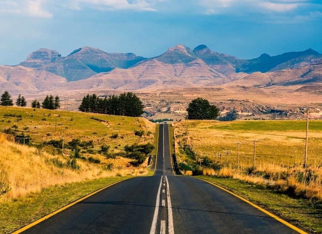 狮子座与狮子座的婚姻(好的婚姻需要彼此包容和坚持)