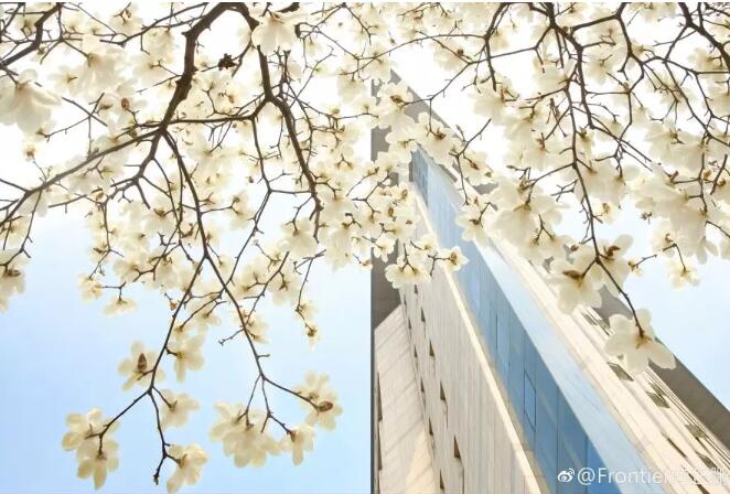 武汉大学历任校花(武汉大学十大校花排行) 武汉大学历任校花(武汉大学十大校花排行)