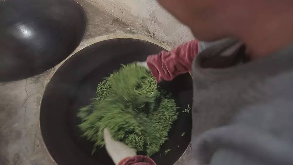 碧螺春产于哪里(为什么说只有苏州洞庭碧螺春才是最正宗的碧螺春)