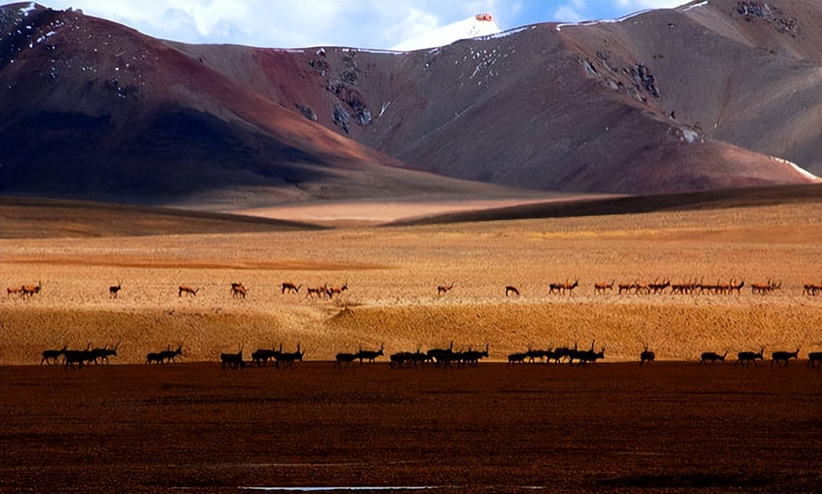 中国最可怕的无人区(无人区真的那么乱吗)