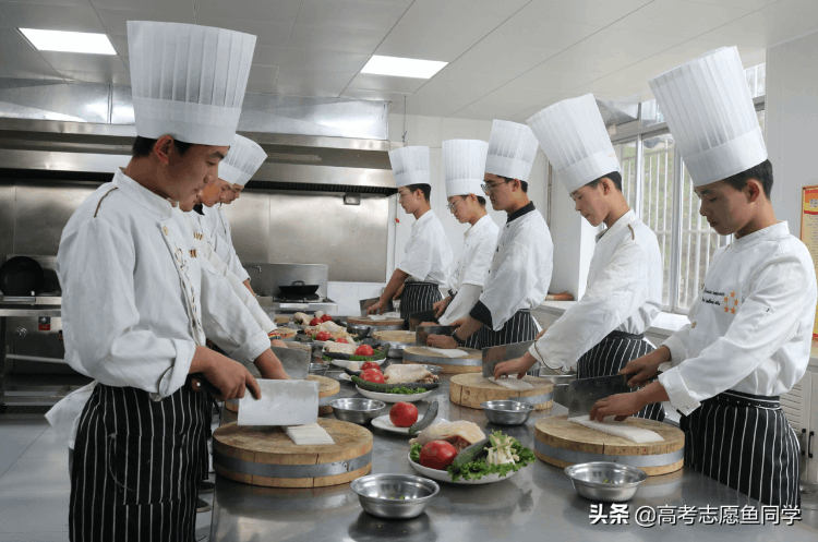 大专介绍，专业介绍大全