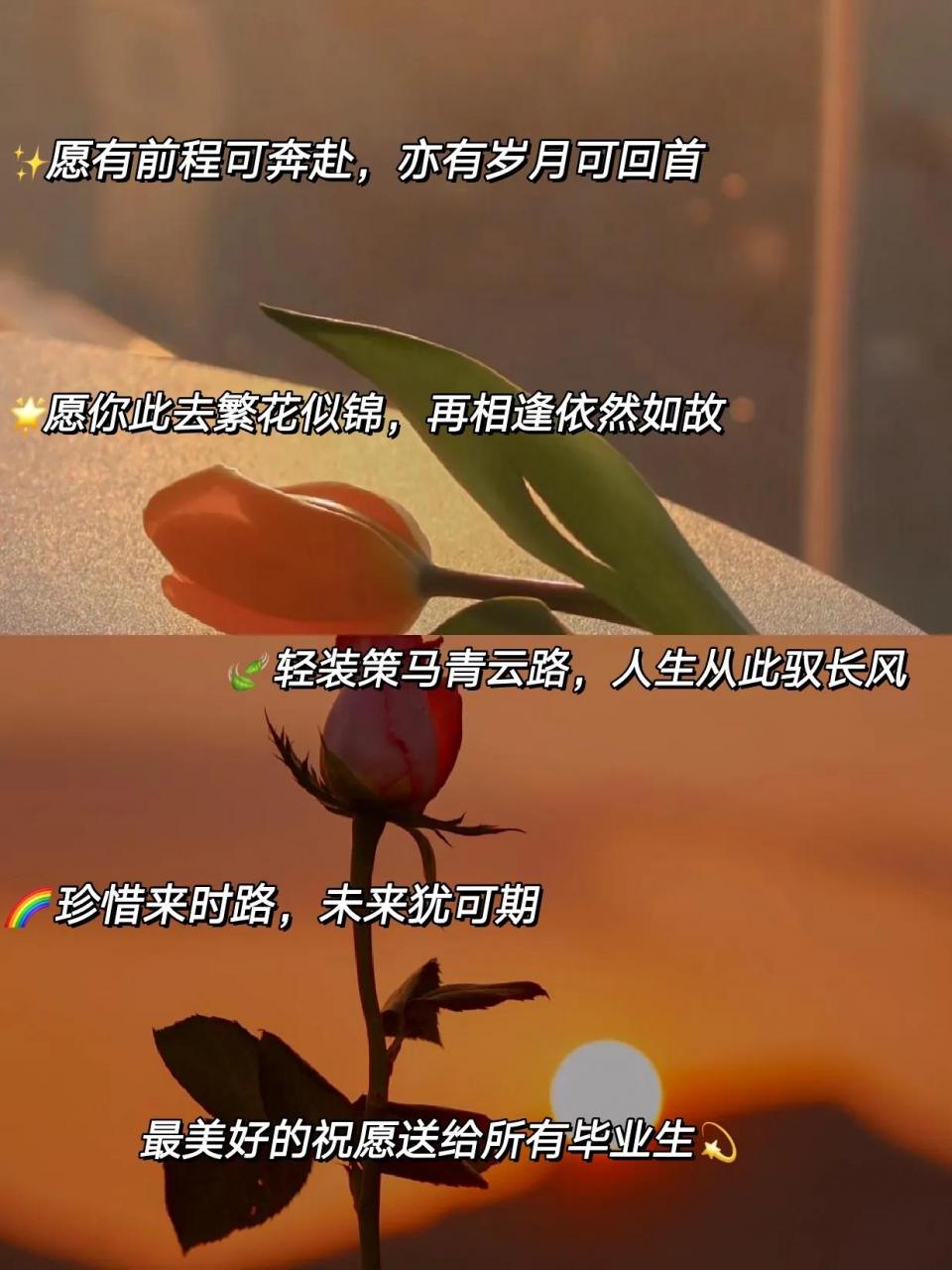 选择毕业季暖心句(毕业季暖心句)