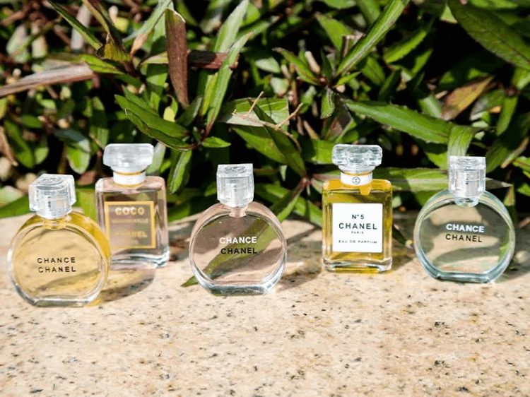 香奈儿香水系列介绍(香奈儿香水合集) 香奈儿香水系列介绍(香奈儿香水合集)