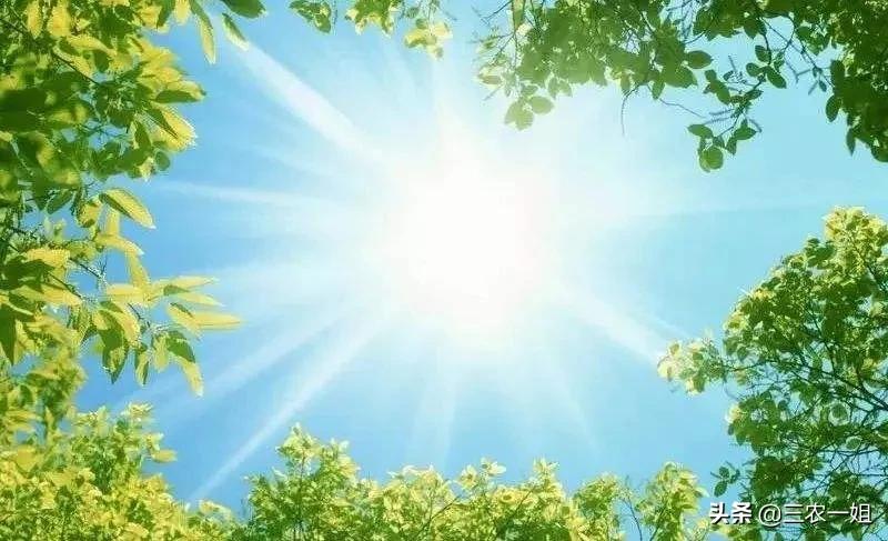 农历四月初一(农村俗语＂四月初一是晴天，高山平地任开田＂是什么意思)