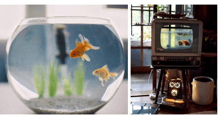 家里解暑的方法