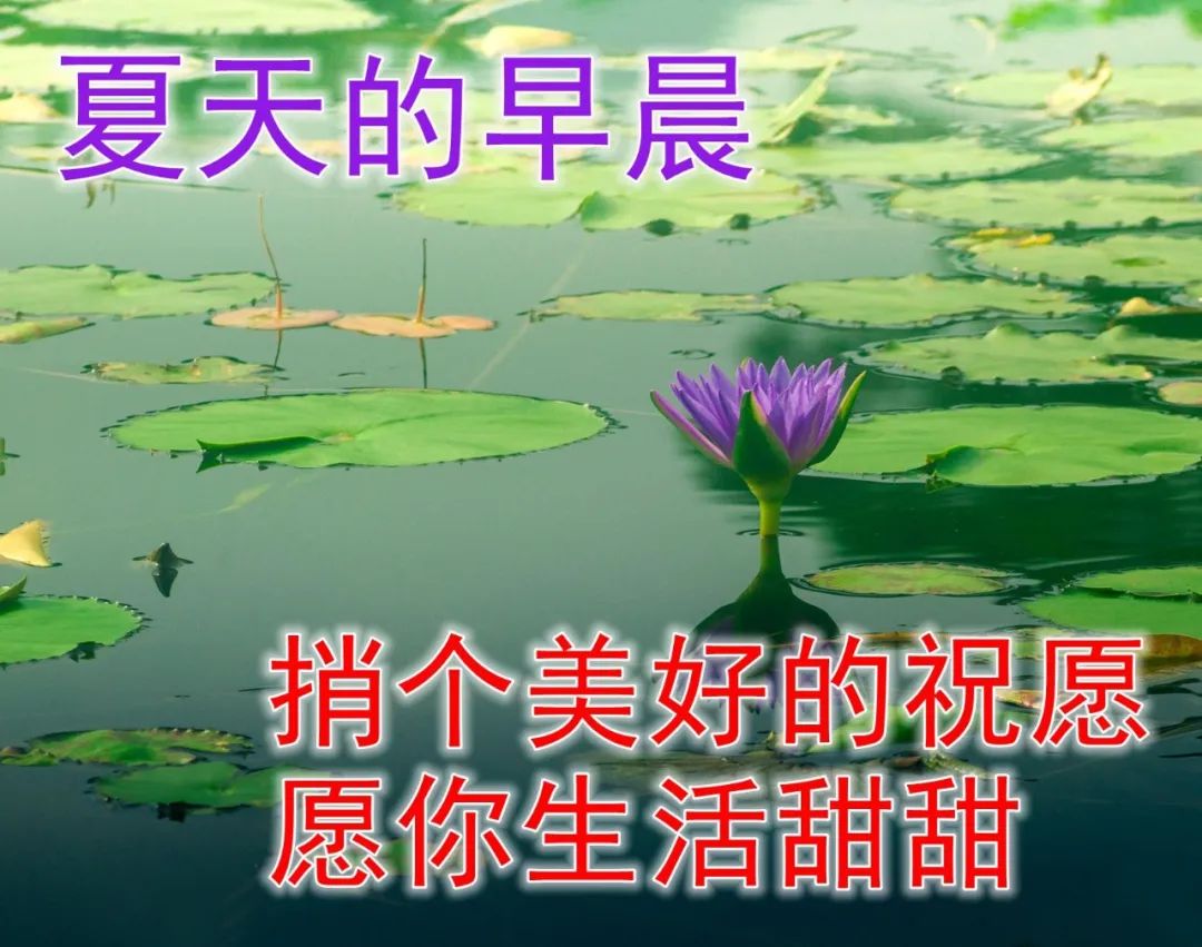 早上好图片风景(最独特的早上好图片) 早上好图片风景(最独特的早上好图片)