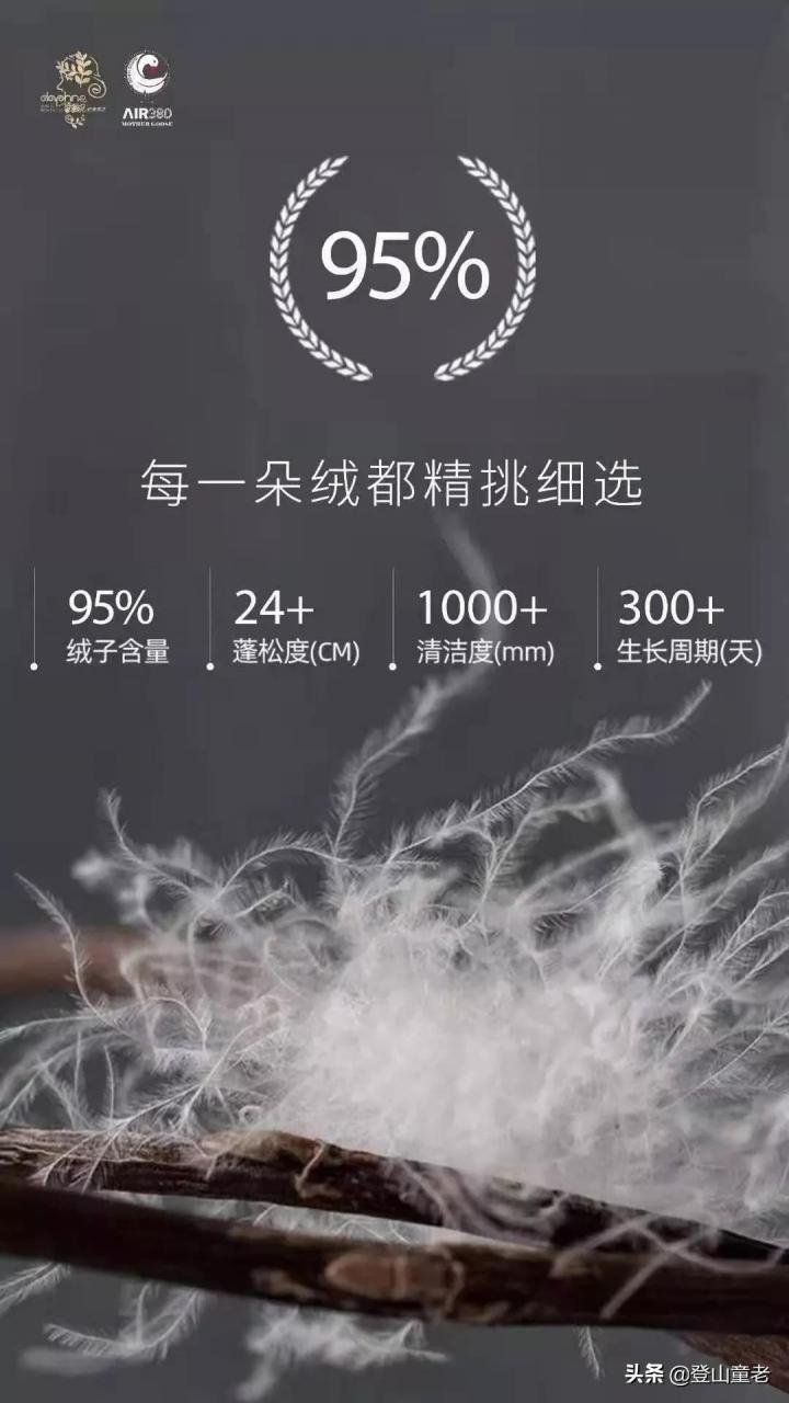 蚕丝被怎么洗涤和保养方法（蚕丝被的缺点是什么？）