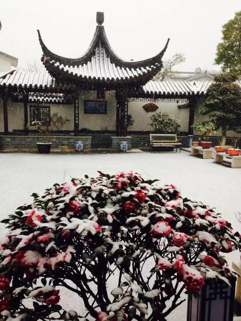 蜂鸟鹰蛾如何养才长得好