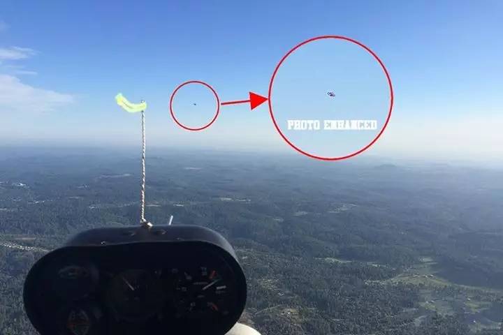 美国发现了一只活恐龙(美国真的有活恐龙吗)