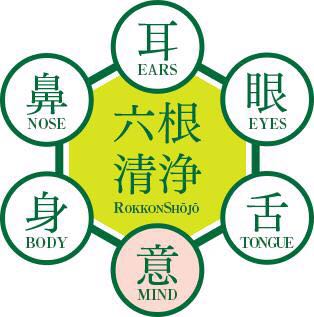 佛教的六尘都是啥意思(佛陀所说的六根、六尘、六识指的是什么)