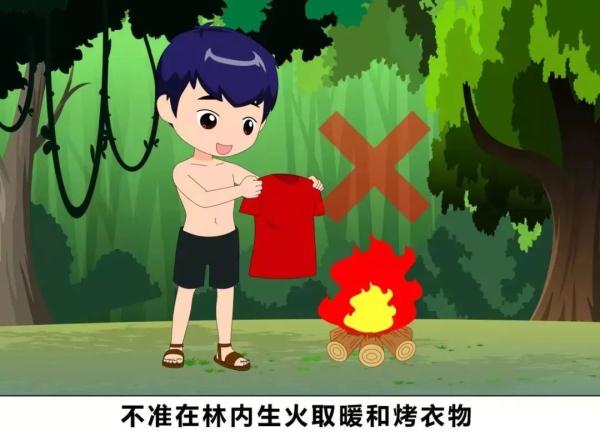 小学生森林防火内容简短的安全知识（森林防火安全知识教育）